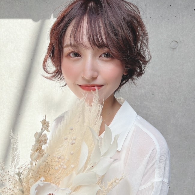 お客様イメージ